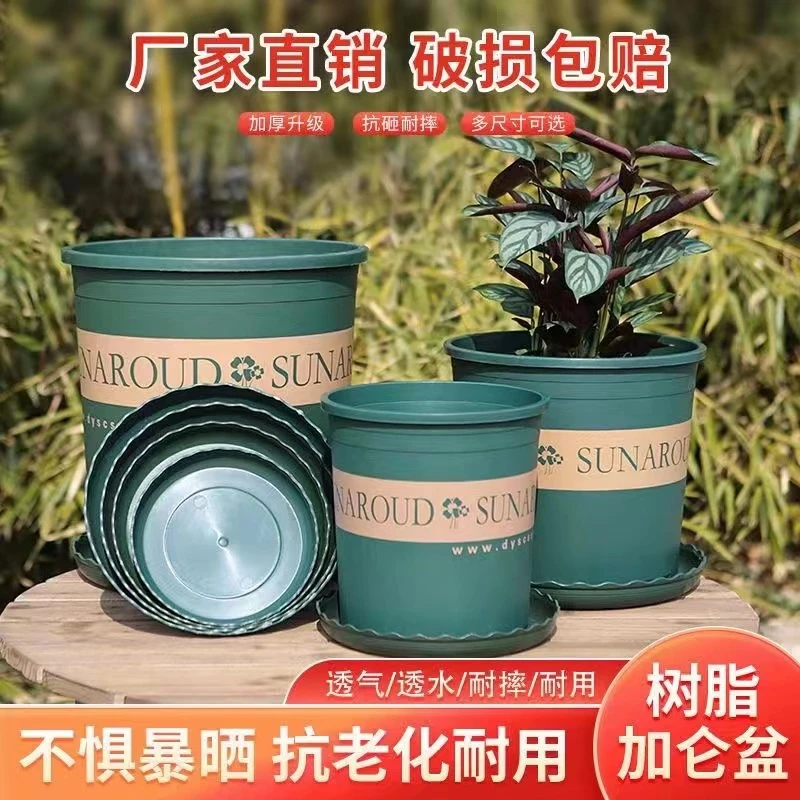 家用花盆种花加仑盆阳台客厅花卉绿萝月季玫瑰塑料种菜盆塑料耐用