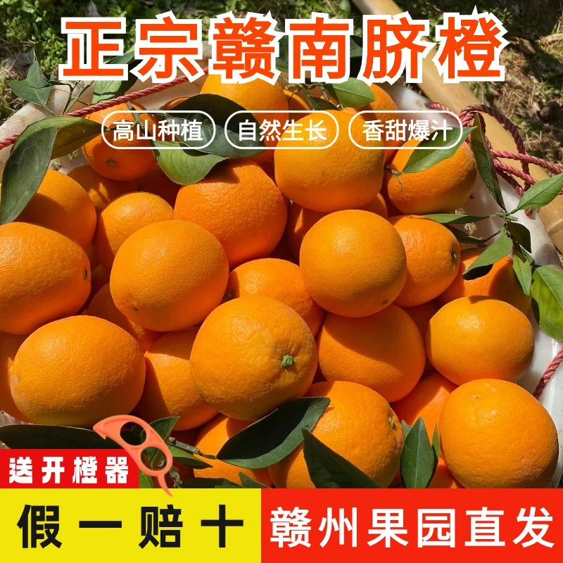 【粉丝福利】正宗香甜赣南脐橙新鲜水果当季9斤赣州果园直发精品果