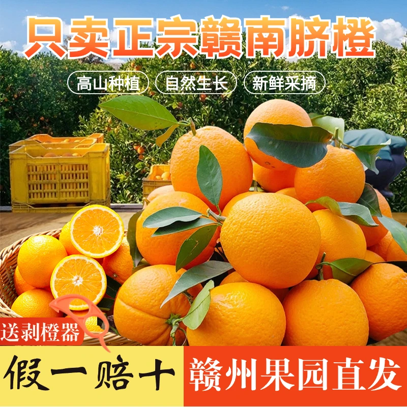【粉丝福利】正宗赣南脐橙新鲜水果当季9斤赣州果园直发精品果王
