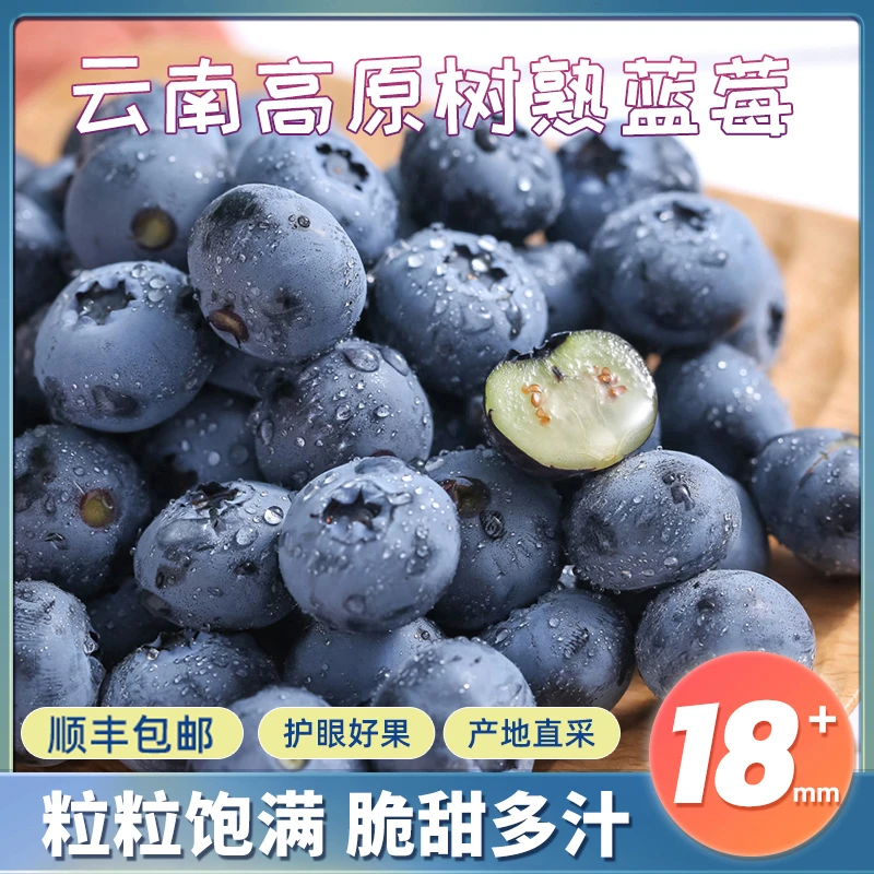 【本来果坊】云南当季蓝莓5盒/10盒 特大果 单盒125g 单果22-26mm