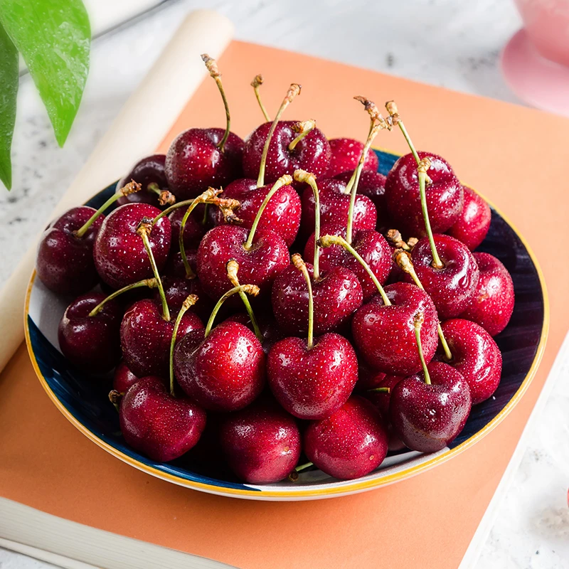 【本来果坊】空运智利进口车厘子 原箱5斤 JJ级/3J/4J级 内附果径卡