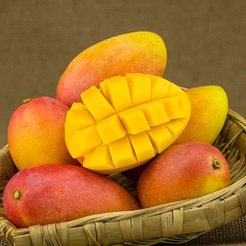 【本来果坊】广西贵妃芒芒果4.5-8斤细腻香甜 新鲜水果 现摘先发