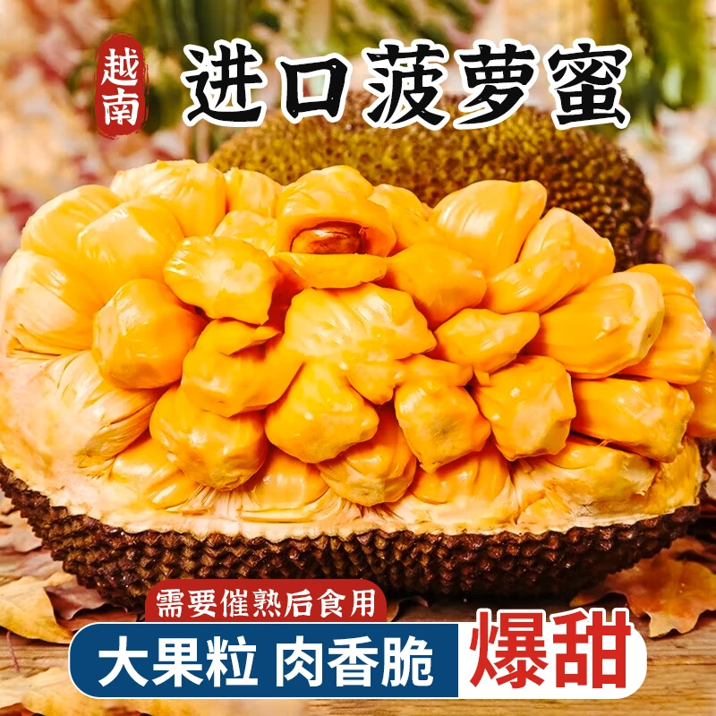 【本来果坊】进口越南菠萝蜜新鲜水果 暗黄色果肉香甜脆嫩整个
