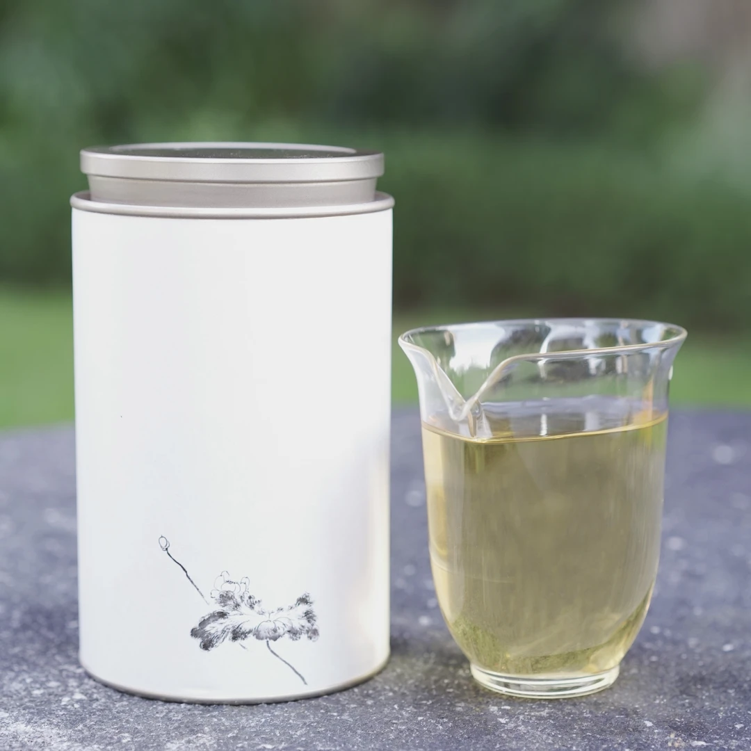 2023年/入世观山·涤烦子/60g罐装/特级白牡丹/福鼎老白茶