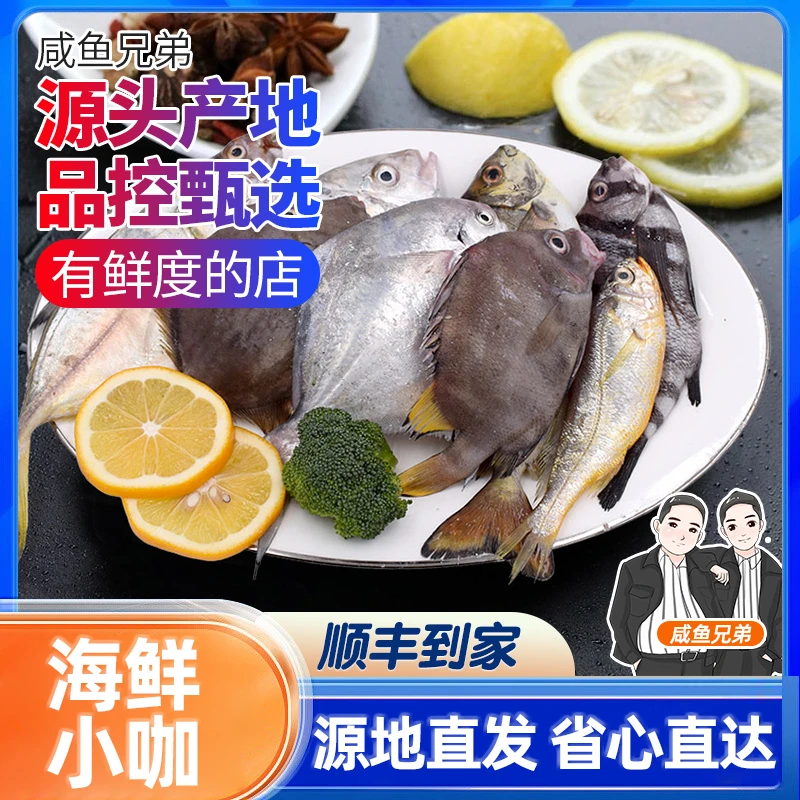 象山石浦杂鱼刚刚回港