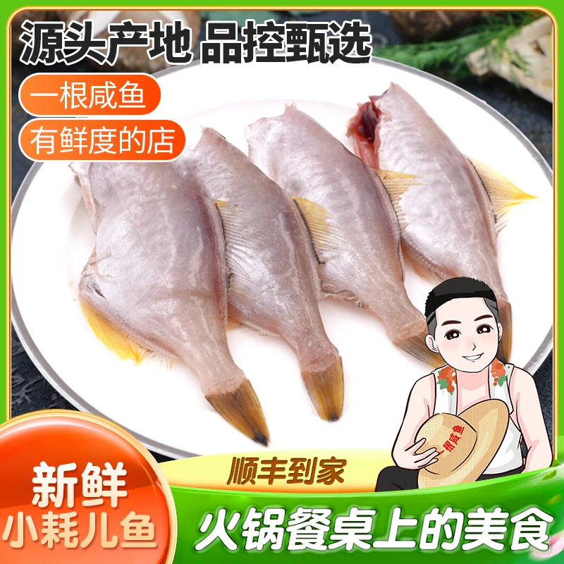 象山石浦渔山岛小剥皮鱼小耗儿鱼