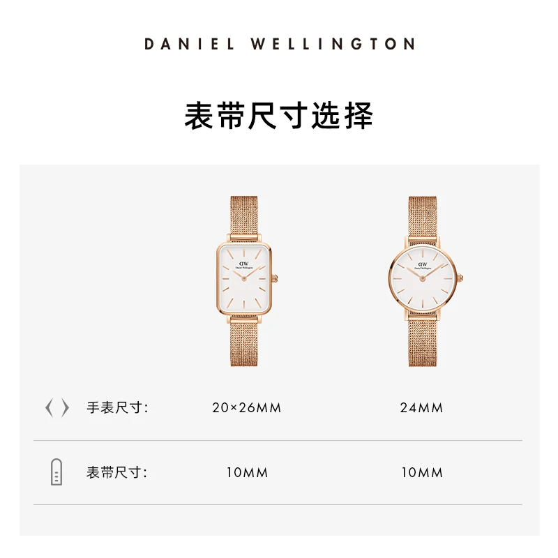 DanielWellingtonDW手表表带 Petite系列表带10mm 适配24mm表盘