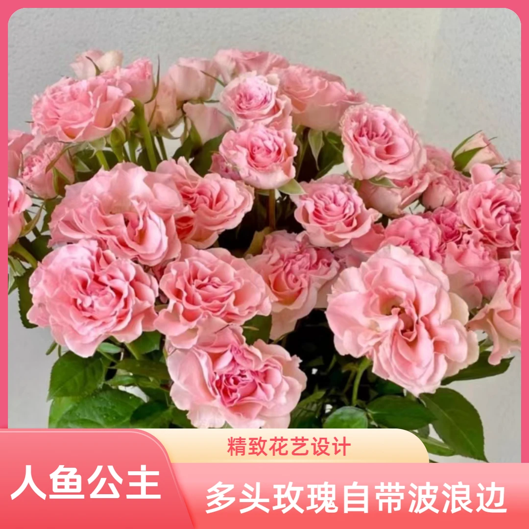 鲜花【人鱼公主】多头玫瑰10枝 全场任意两单包邮发顺丰