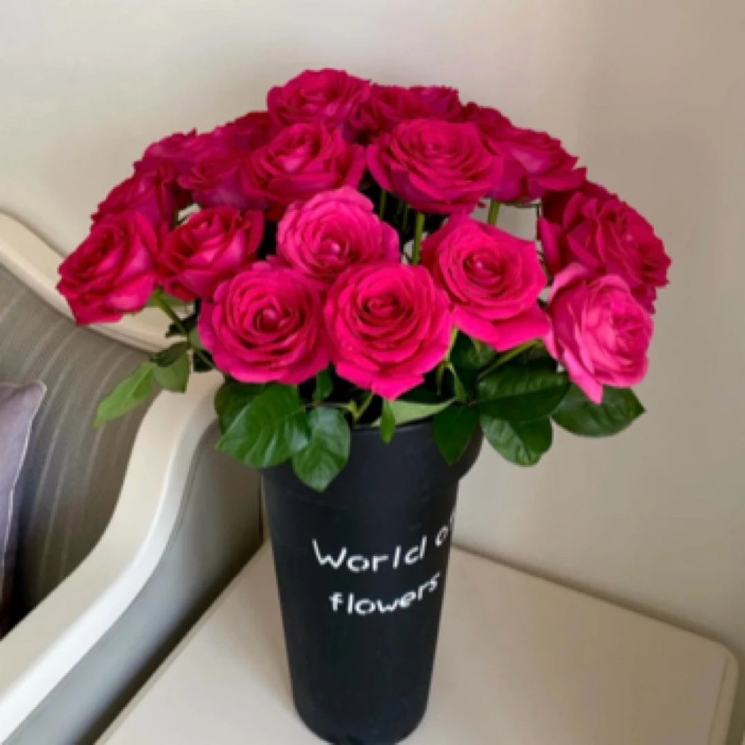 鲜花【多头弗洛伊德10枝】 全场任意两单顺丰冷链包邮