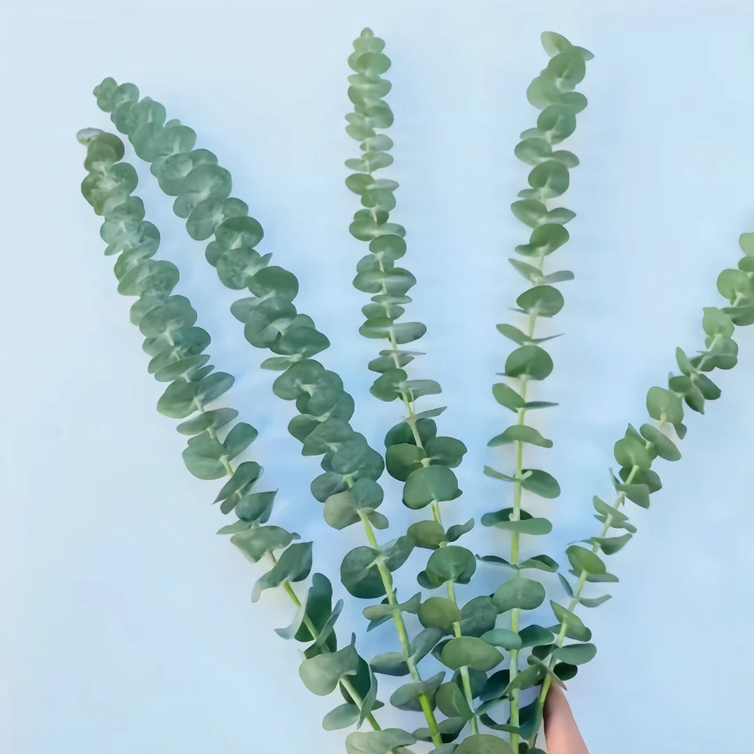 凑单福利【尤加利】配草配花 全场任意两单包邮发顺丰冷链