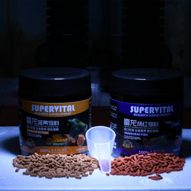 速倍妥雷龙鱼专用饲料健康水族雷龙鱼扬色饲料小颗粒适合雷龙饲料