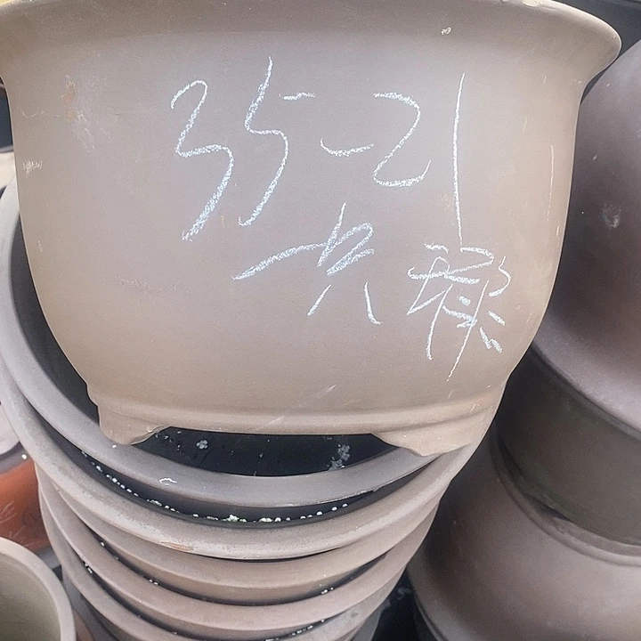 红陶20CM（含）-50CM（不含）
