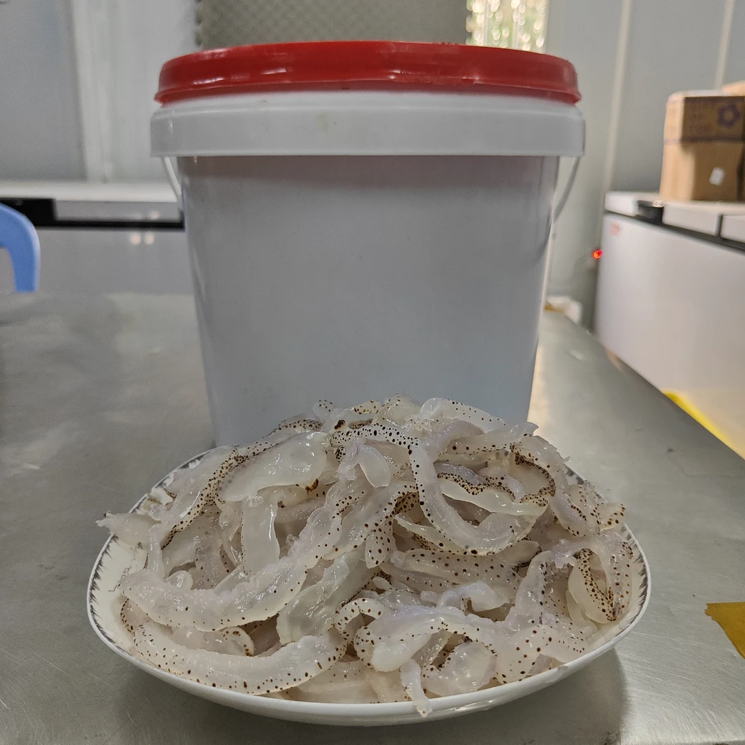 【湛江特产】吴阳海蜇1桶，约20斤 ，固态约10斤 桶盖颜色随机