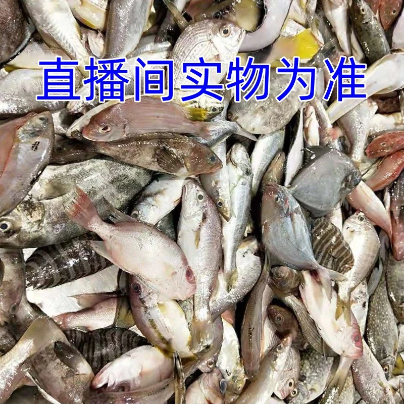 【马五团套餐，直播间实物为准】海鲜鱼虾组合或鱼或虾或其他500g