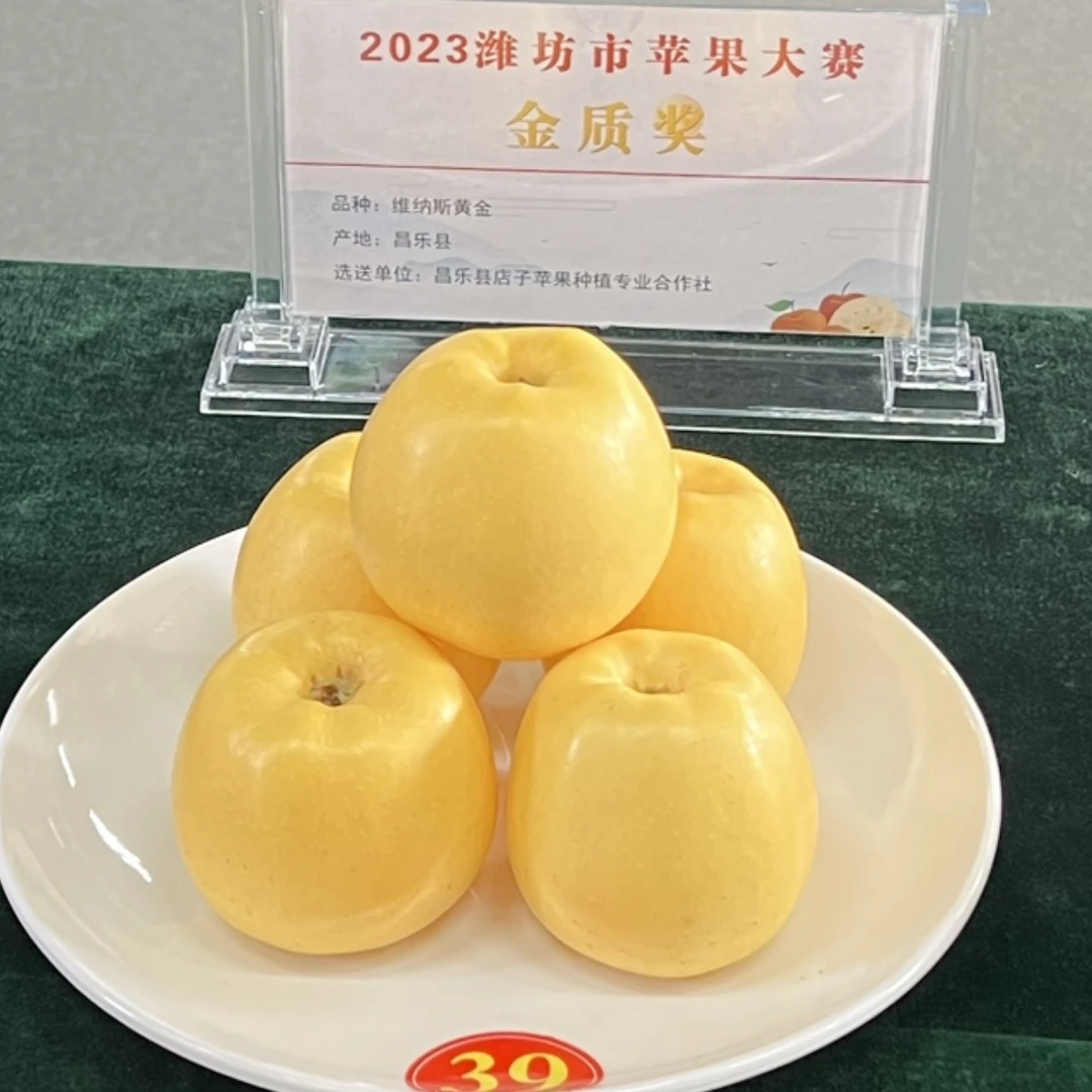 正宗山东维纳斯黄金豆肥苹果