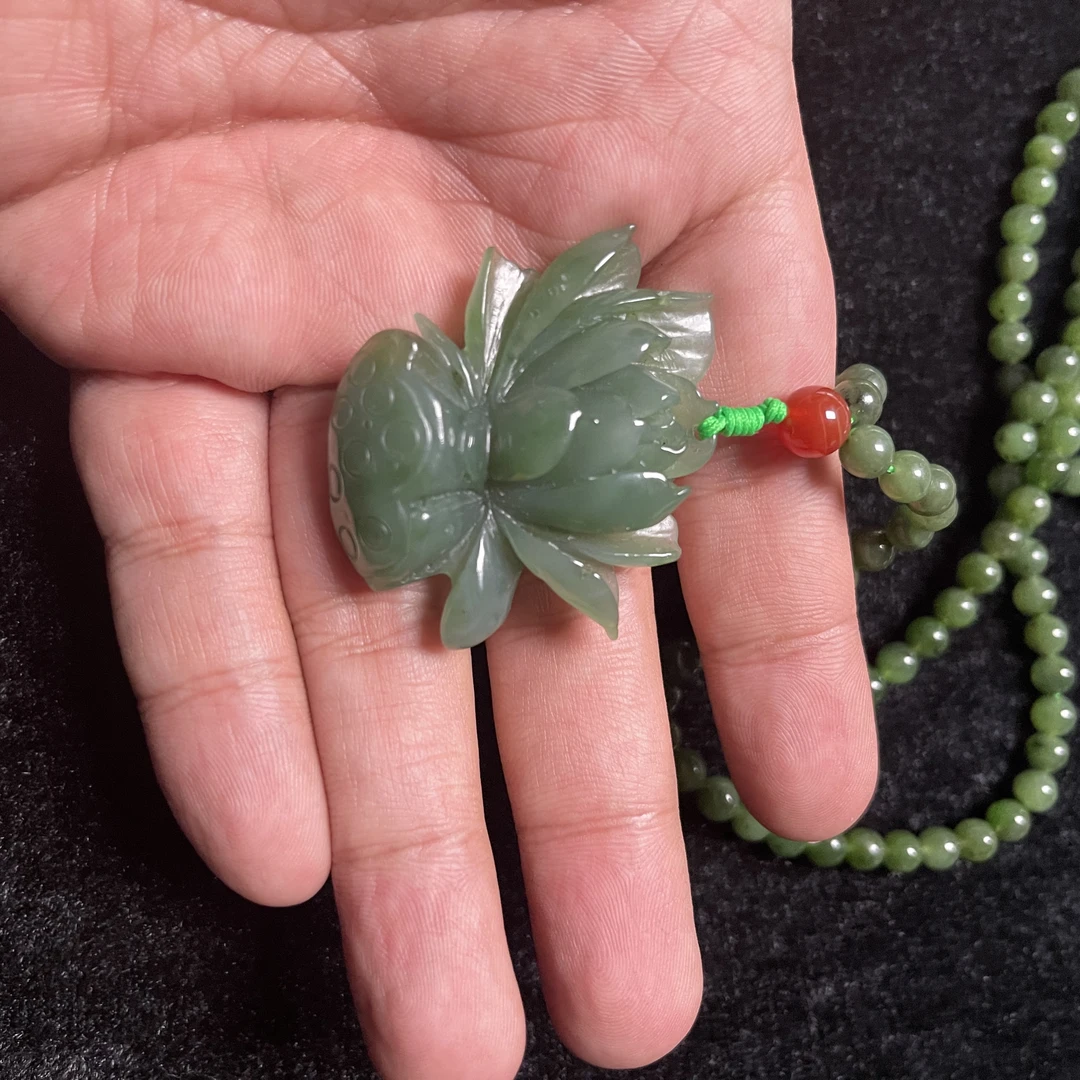 直播-碧玉花开富贵