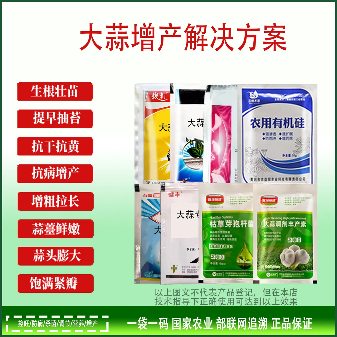大蒜增产解决方案大蒜三遍药专用大蒜干尖黄叶膨大大蒜防病叶面肥