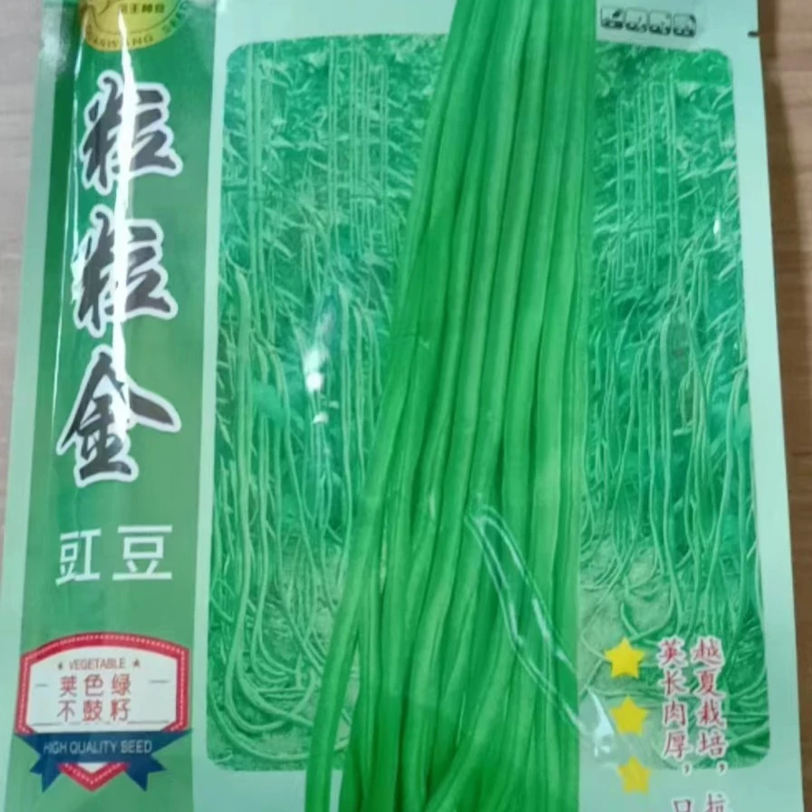 金豆角种(翠绿色耐高温条长到90公分结荚分散)无鼠尾大面积