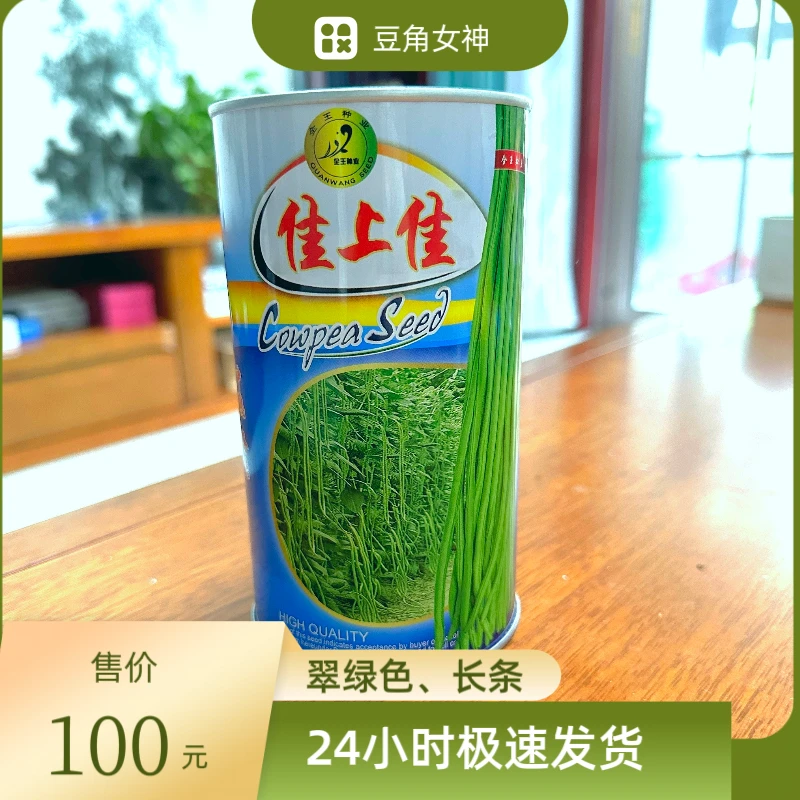 佳上佳豇豆全王系列高产翠绿色长条翠绿色厚肉型条长无鼠尾
