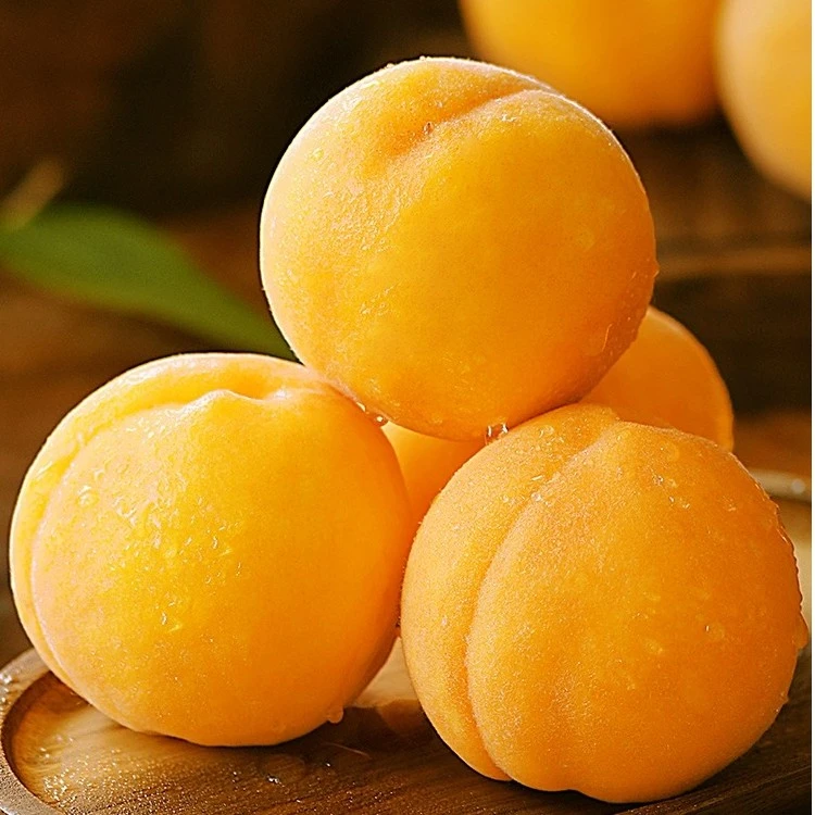 (顺丰包邮)正宗黄桃黄金蜜桃锦绣桃新鲜水果水蜜桃3/5斤现摘现发