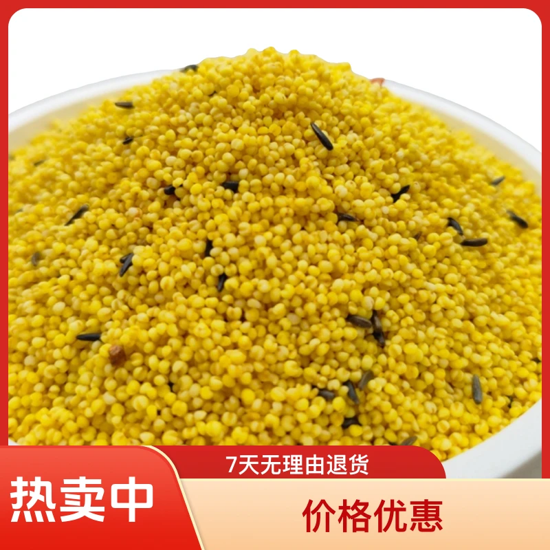 鸟食柴鸡蛋蛋小米学吃粮营养粮珍珠鸟鹦鹉粮500g新鲜健康热卖