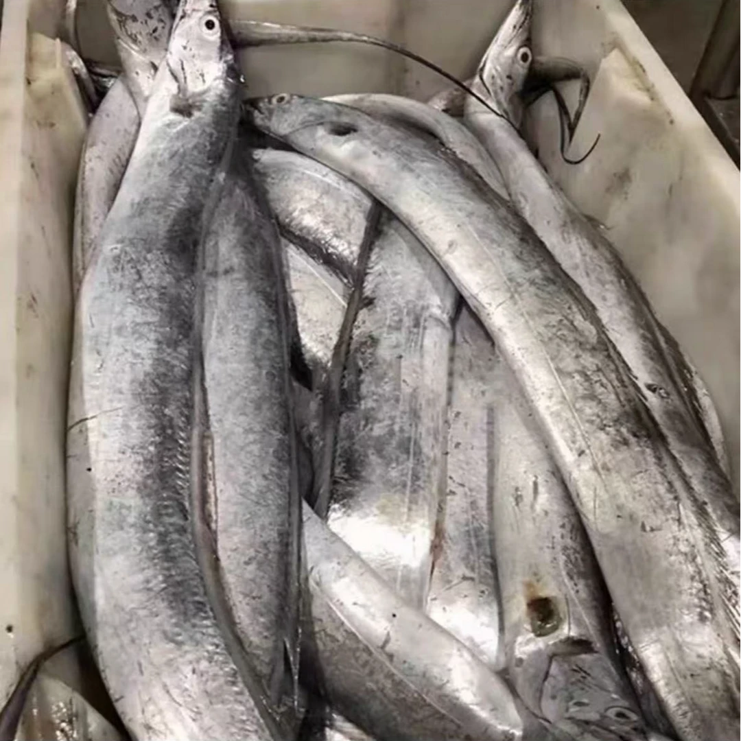 五斤黄沙港新鲜海捕带鱼  本港小眼油带鱼整条