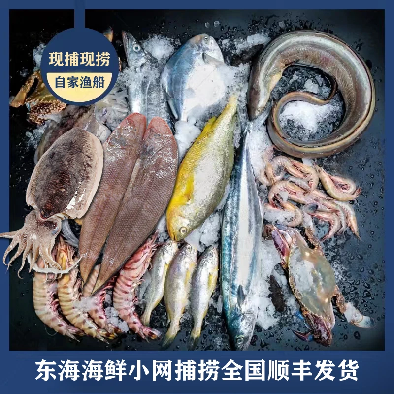 【第八网】东海海捕海鲜套装鱼虾 全国发货