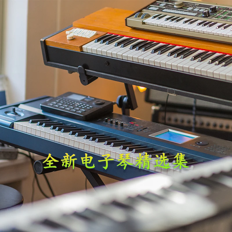 【电子琴高端盘】2024全新精选集-即插即用-无需下载重低音