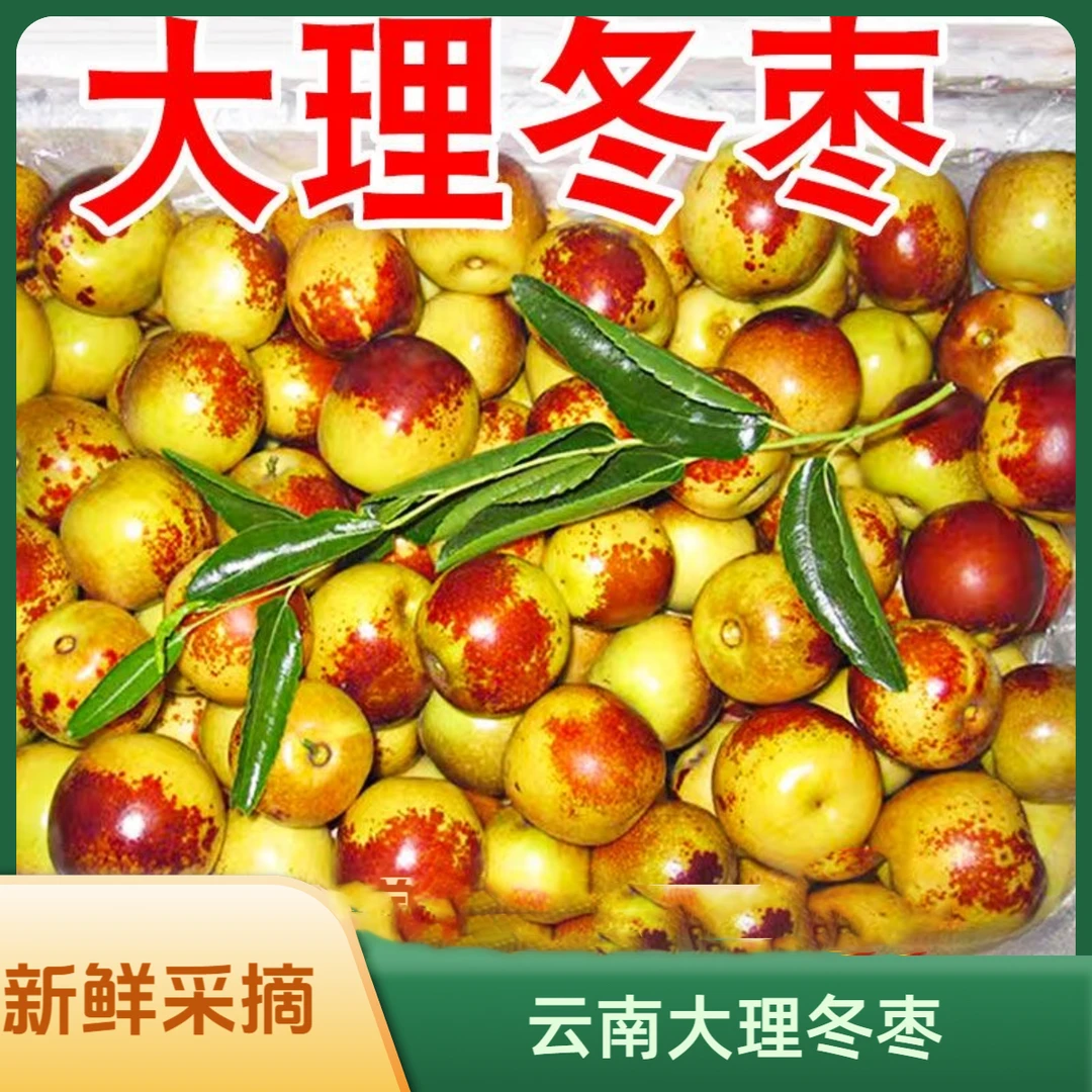 初婉云南新鲜大理宾川鲜枣脆甜枣子新鲜现摘整箱装包邮果园
