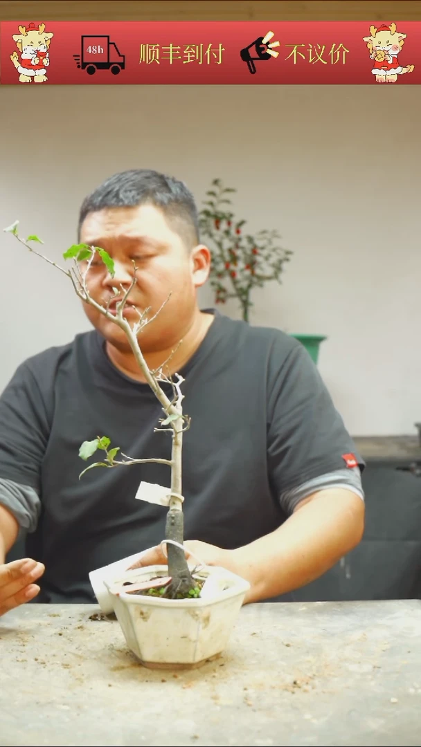 【闪购商品】1/200顺丰到付/1021/6