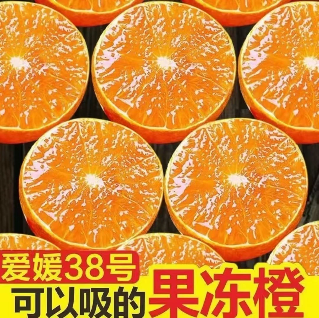 正宗爱媛38号果冻橙四川当季新鲜水果整箱纯手剥榨汁甜