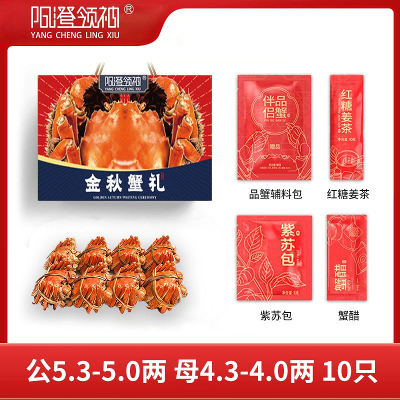 【活蟹】阳澄领袖大闸蟹公5.3-5.0两母4.3-4.0两10只鲜活现货