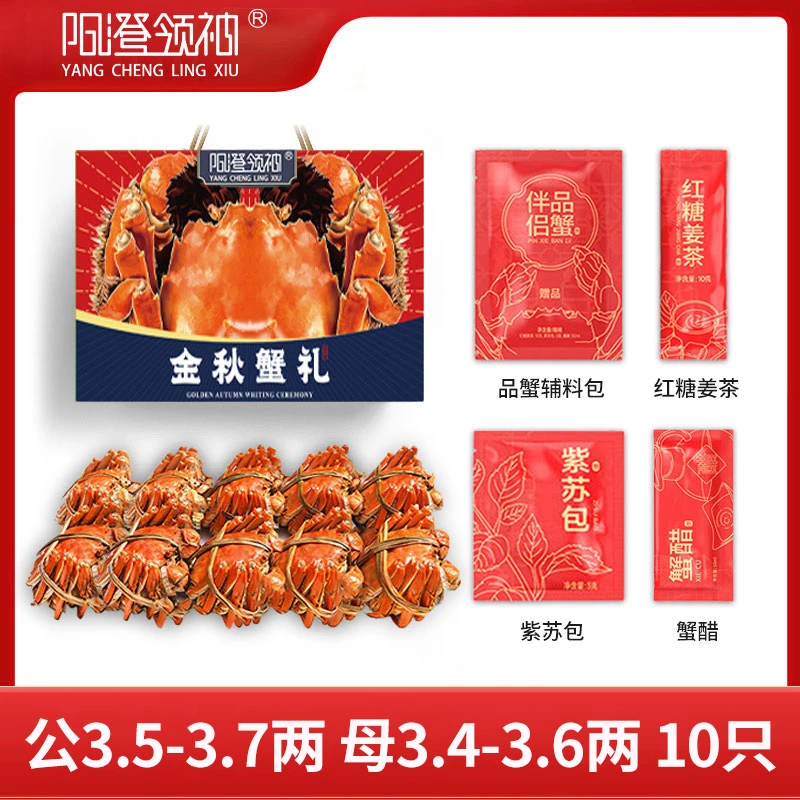 【活蟹】阳澄领袖公3.5-3.7两母3.4-3.6两10只大闸蟹鲜活