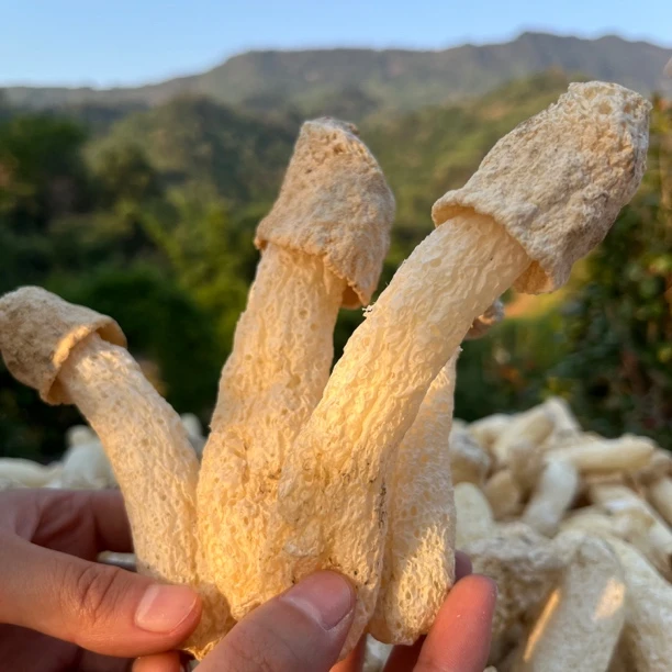 竹荪50g 干货 林下自然生长山货