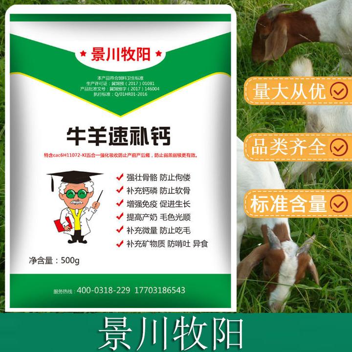 景川牧阳牛羊速补钙