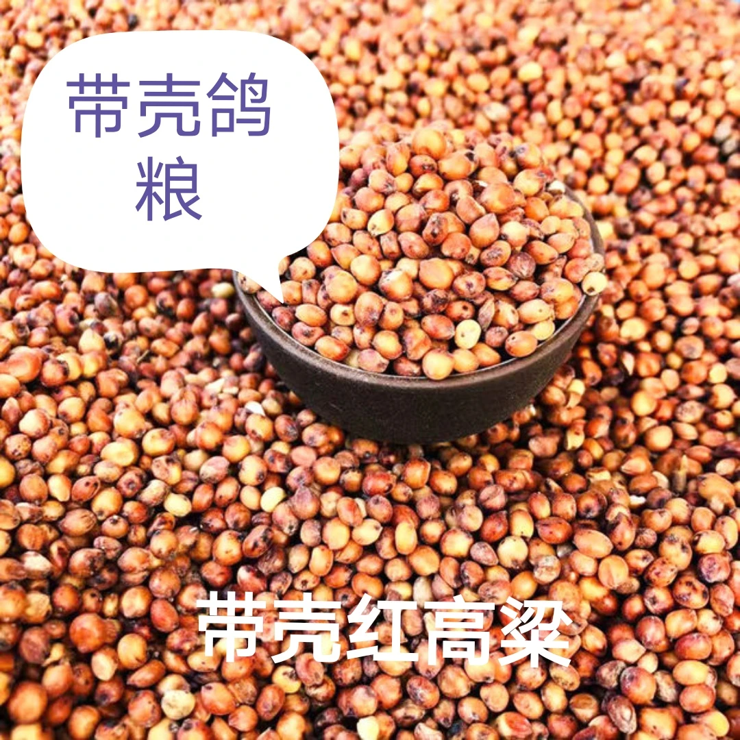 带壳红高粱带皮鸟食喂鸽子粮仓鼠粮鹦鹉粮宠物粮