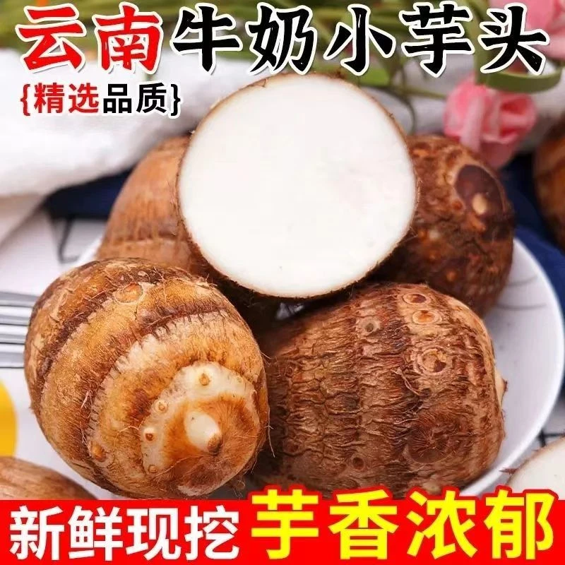 【超低价】新鲜芋头仔云南小芋头香糯现挖现发新鲜蔬菜3/5/9斤包邮