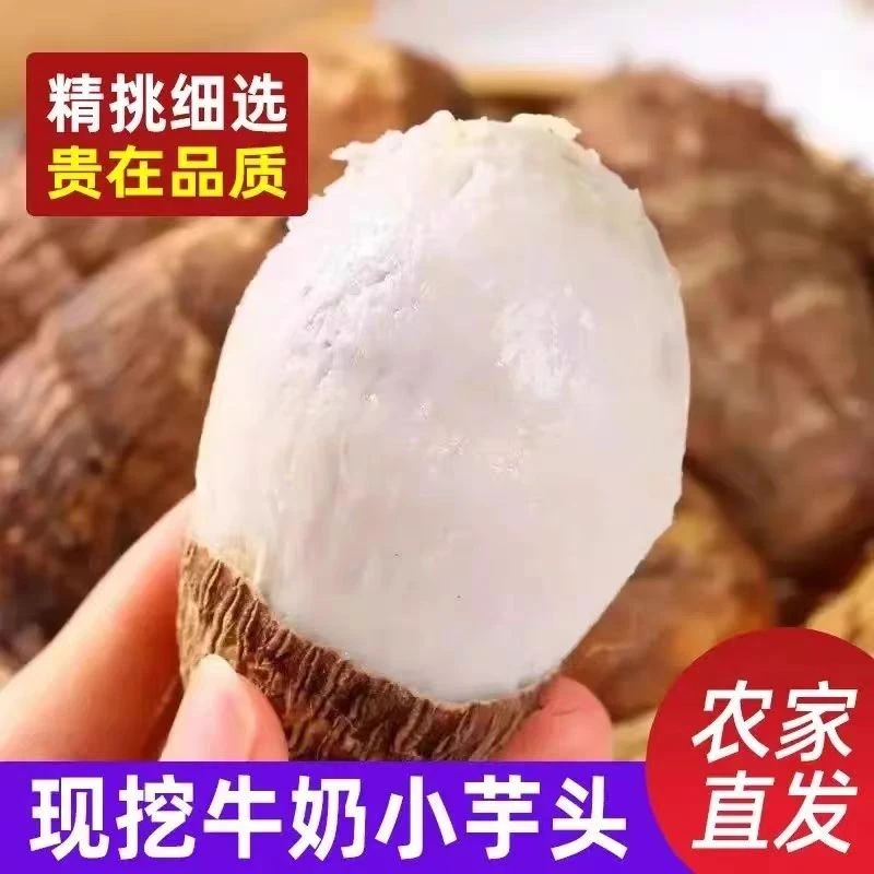 【超低价】云南牛奶小芋头新鲜高品质芋头新鲜宝宝辅食3/5/9斤包邮