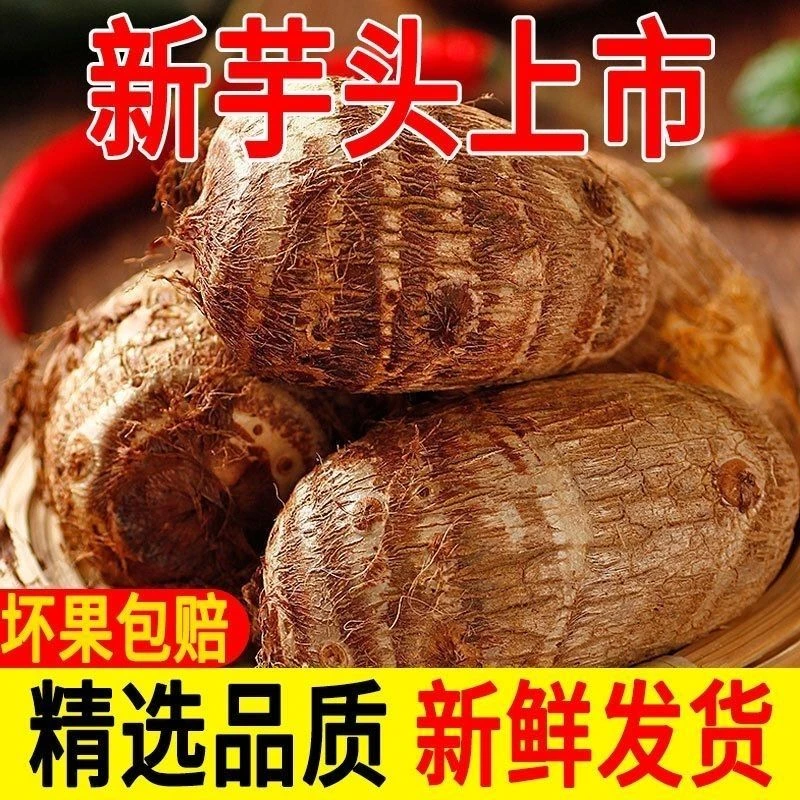 【新店半价】云南新鲜小芋头毛芋头香芋软粉糯芋艿香糯3/5/9斤包邮