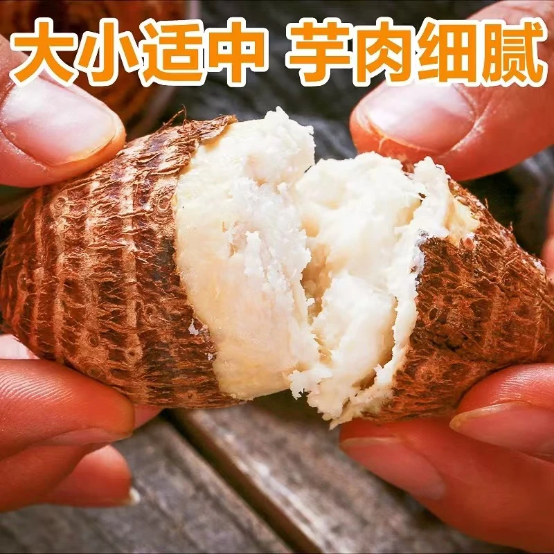 香糯小芋头   毛芋头  新鲜发货