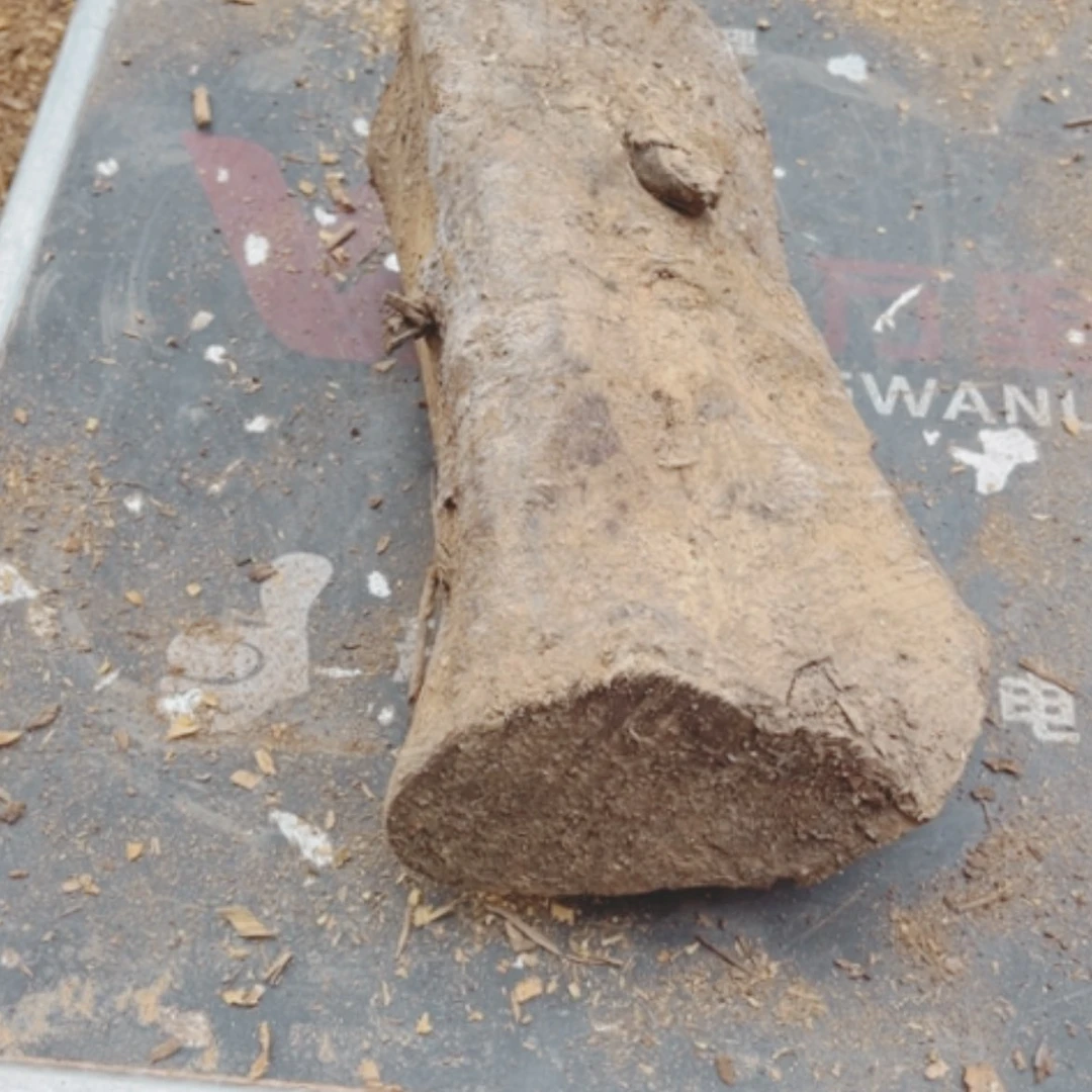 【闪购商品】红贵宝…***俵