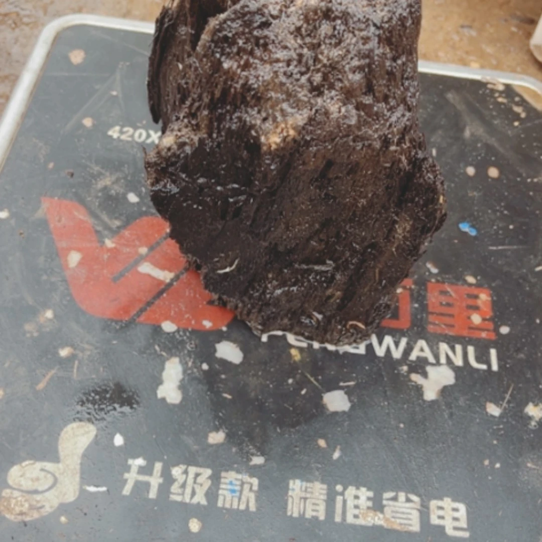 【闪购商品】雕刻木材Y****n