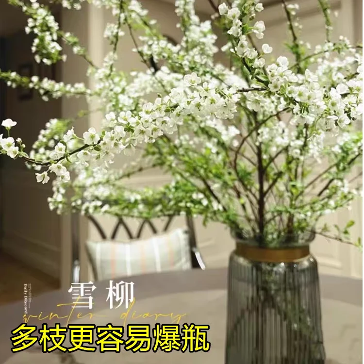 单瓣雪柳干枝支鲜枝水养插花水培植物鲜花卉室内盆栽绿植龙柳好活