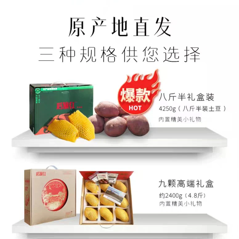 内蒙古乌兰哈达火山脚下后旗红土豆8.5斤礼盒装绵密烤土豆炖土豆
