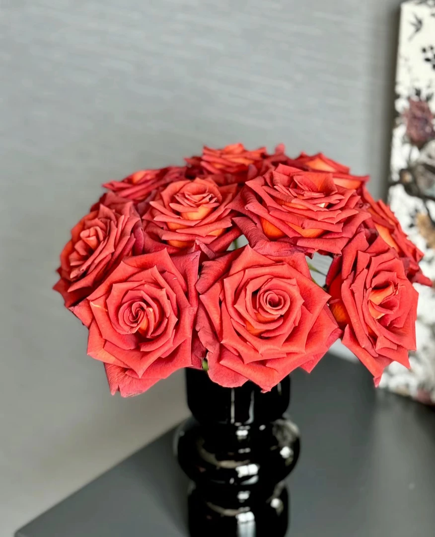 高品质单头玫瑰～杏仁酒10枝（云南基地直发）