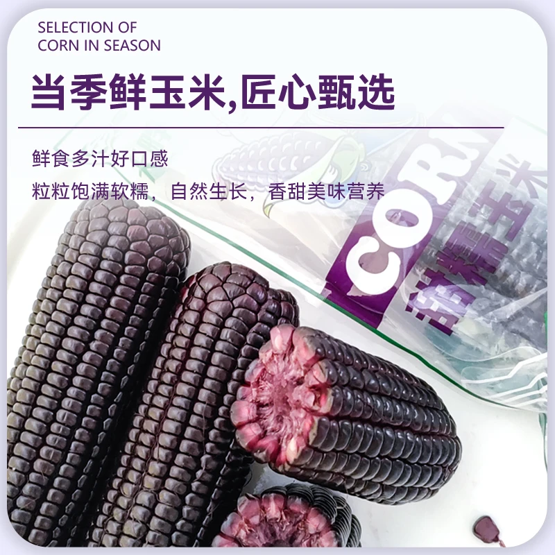 新疆天畔【黑糯玉米8根装】绿色食品自然种植颗粒饱满甜糯营养产品