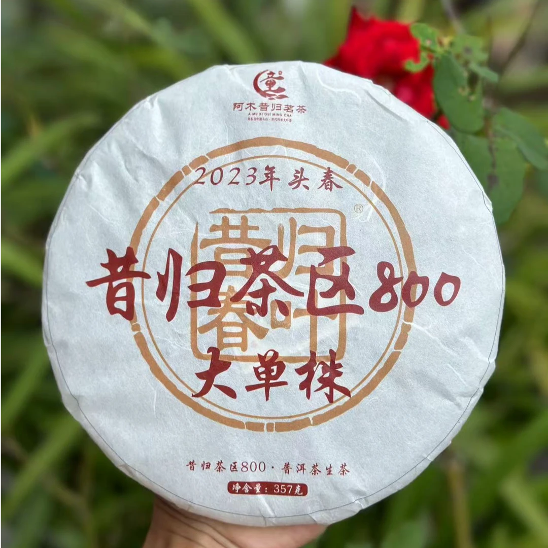 【800年古树单株】23年头春头采单株纯料.普洱生茶（紧压茶）