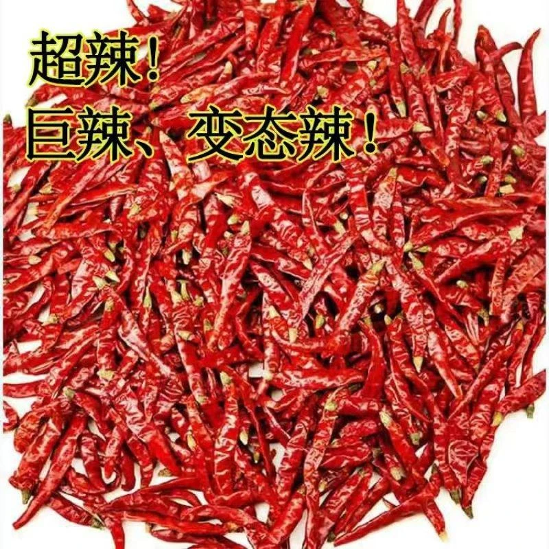 正宗印度椒魔鬼辣特辣香辣微辣特辣干辣椒香辣家用农产晒干超变态