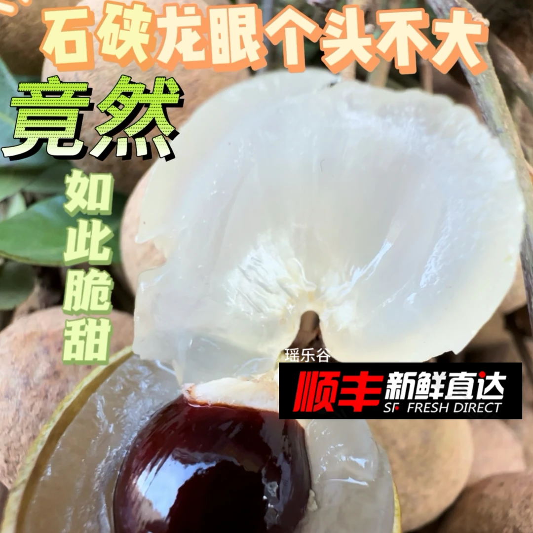 A顺丰 （平南石硖龙眼比储良果小 易落果 ）现货速发 正宗安怀石硖