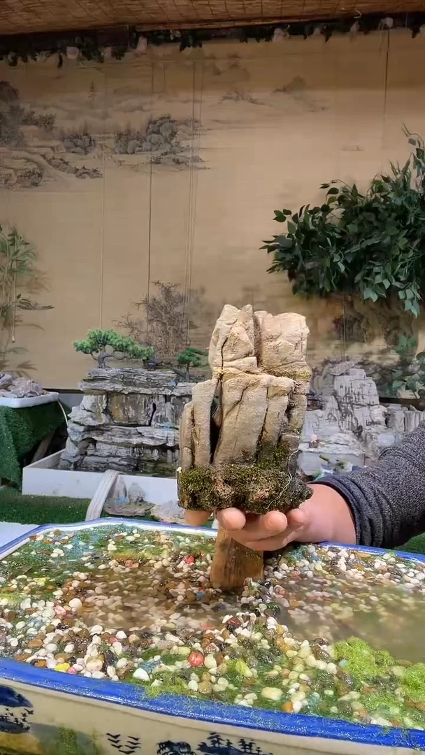 【闪购商品】微景观天然奇石